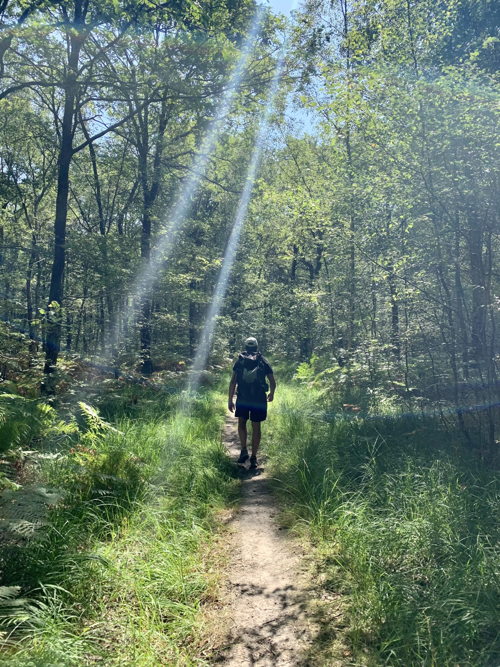 Yann Poirier marchant sur un chemin en forêt