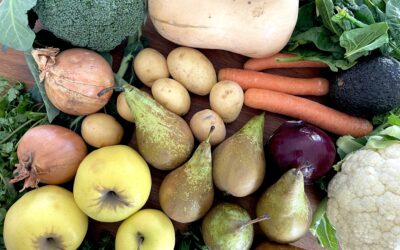 Un corps sain dans un esprit sain grâce à l&rsquo;alimentation