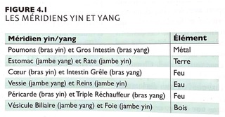 Yes harmonie, radiesthésie, réalignement des chakras, coaching holistique (EFT,EMDR), france, bretagne, morbihan, Vannes et Lorient - méridiens en médecine chinoise
